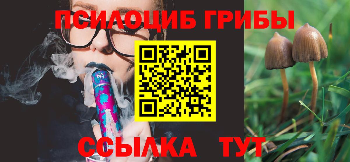 Галлюциногенные грибы Psilocybe Люберцы